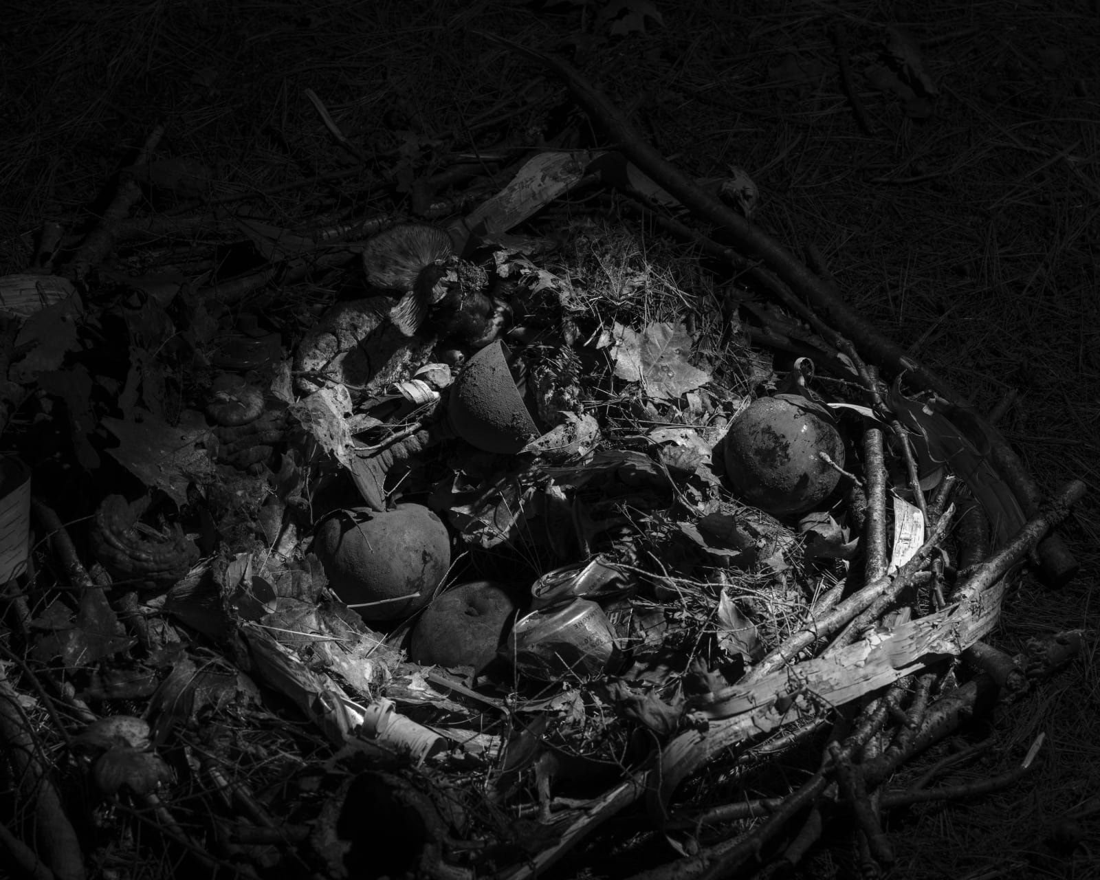 Ryan Van Der Hout, Ritual, 2022
