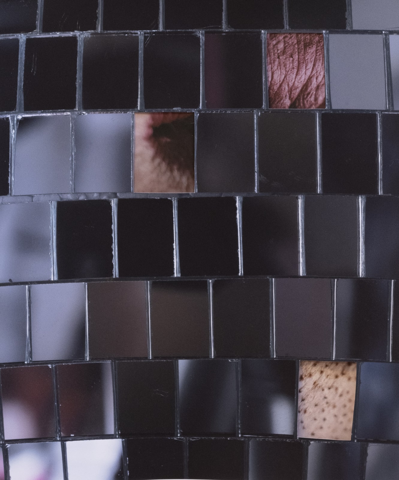 Ryan Van Der Hout, To Reflect Everything and Show Nothing, 2022