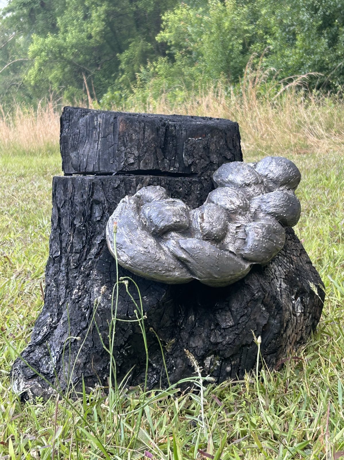 Ryan Van Der Hout, Burnt Bread, 2023