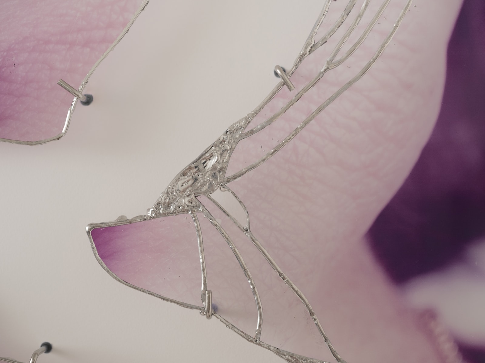 Ryan Van Der Hout, tender expanse, 2024