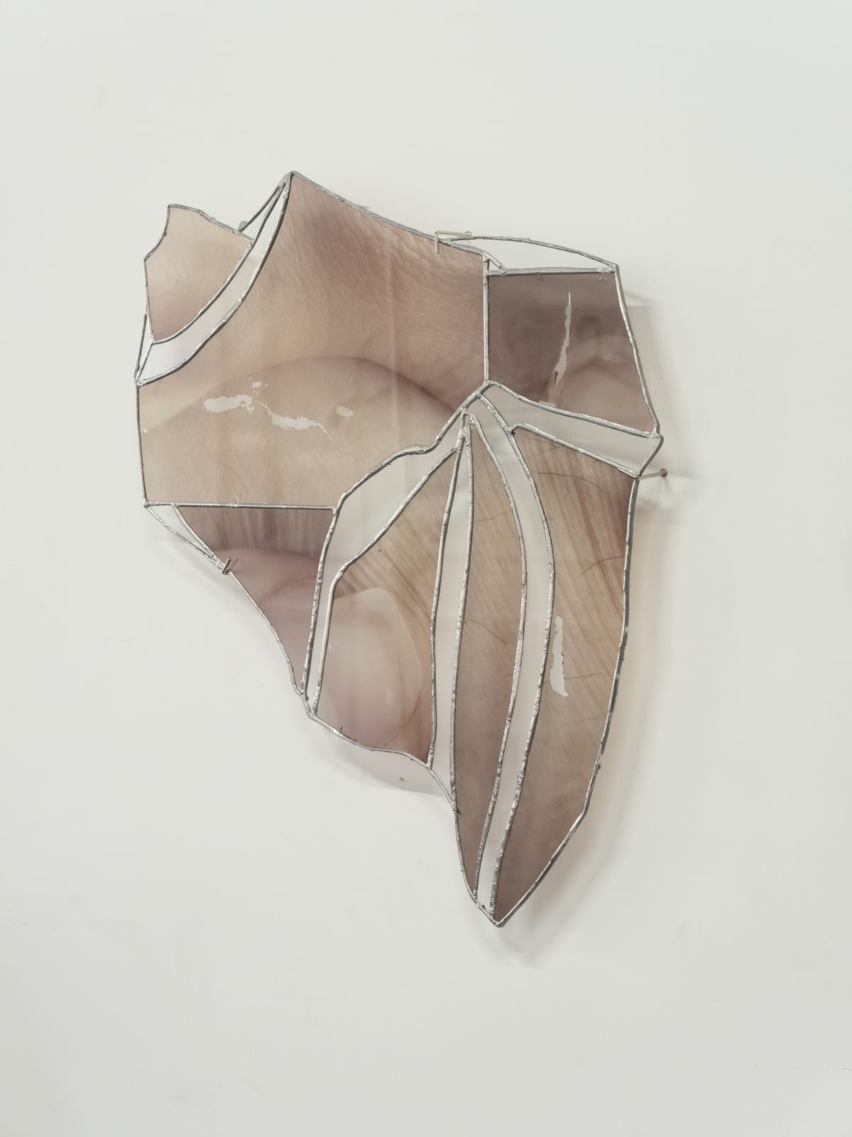 Ryan Van Der Hout, a fragment of your less known parts, 2024