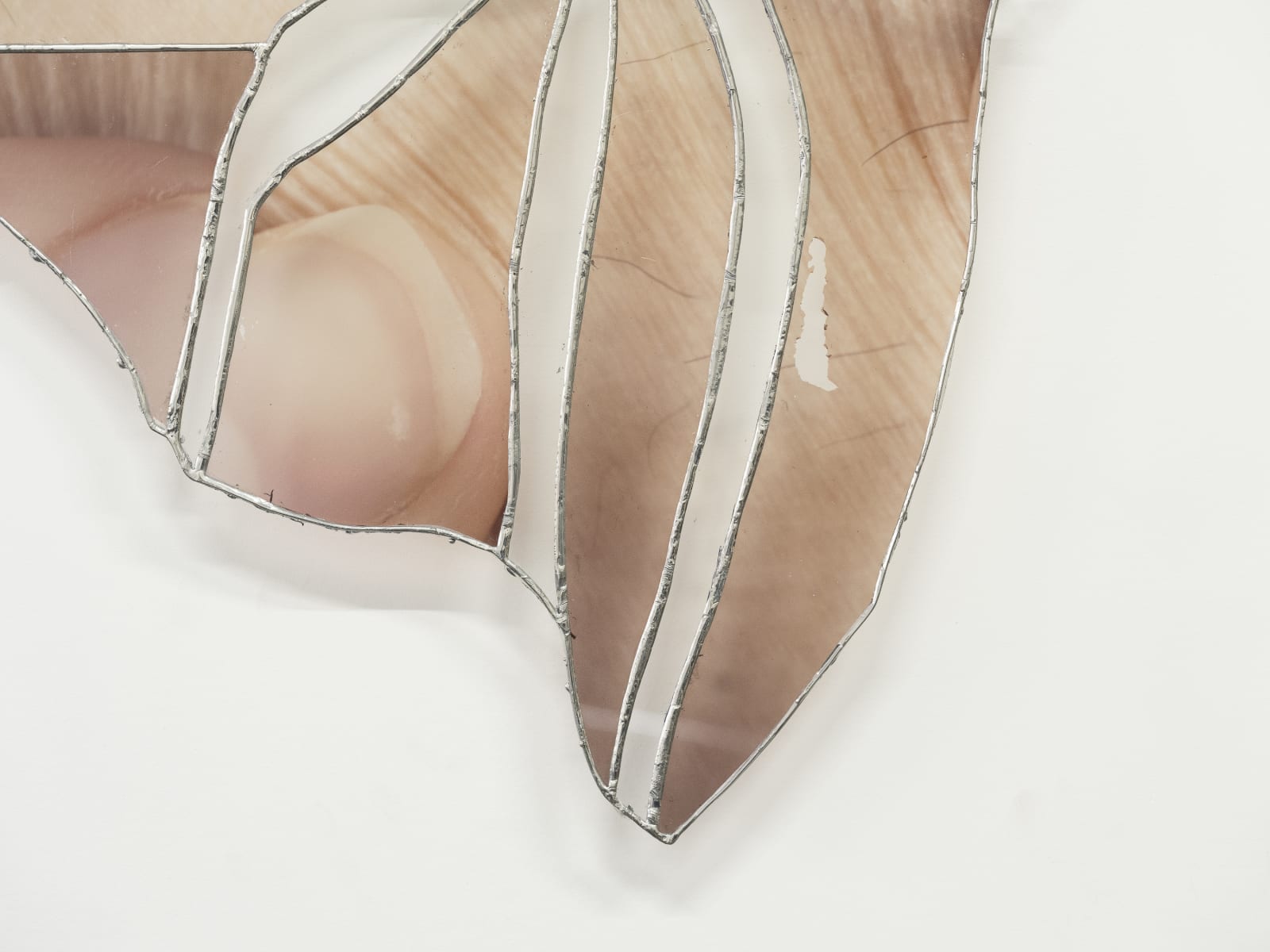Ryan Van Der Hout, a fragment of your less known parts, 2024