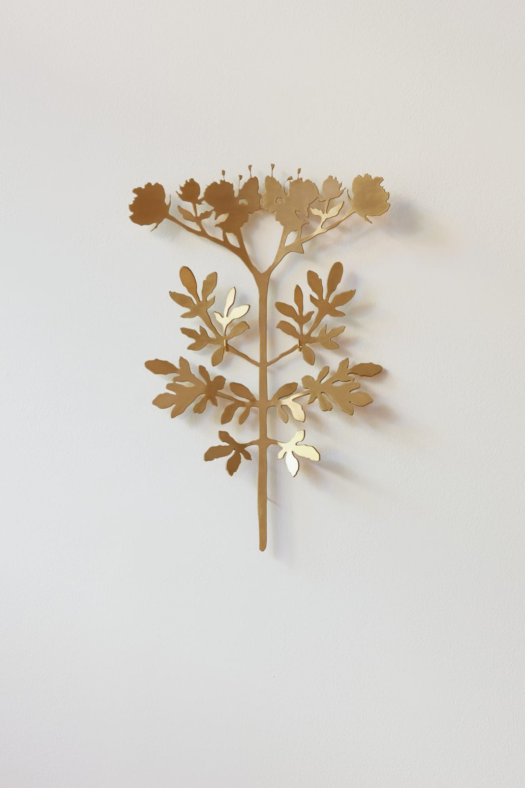 Kerry Lemon, Summer Rue, 2024