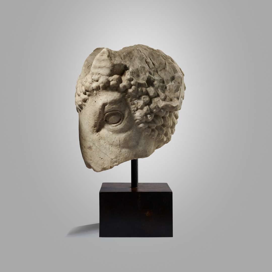 Frammento di testa d'Ariete di epoca Ellenistica , I sec. a.C