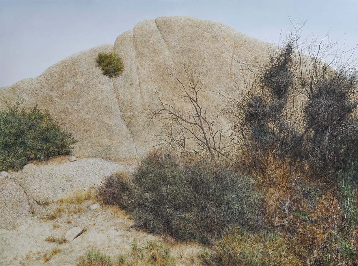 Naked landscap