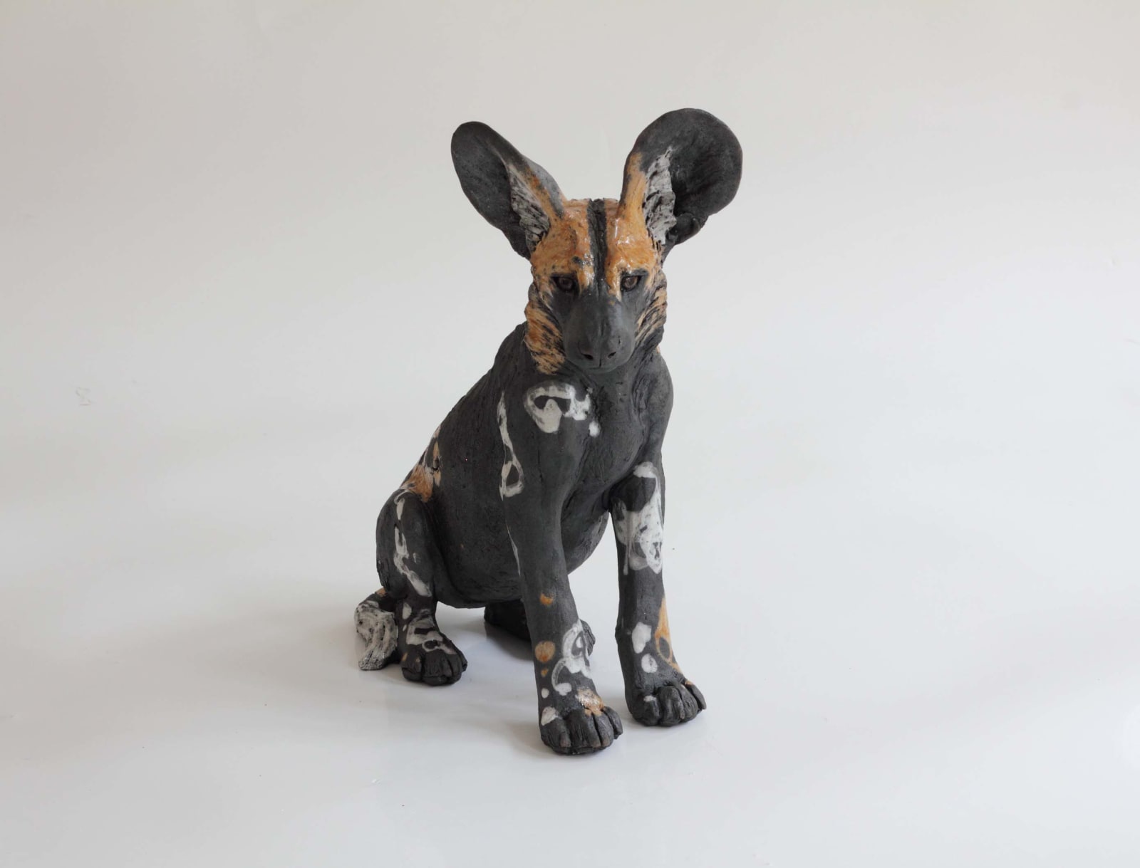 Nick Mackman, Wild Dog Pup Seated