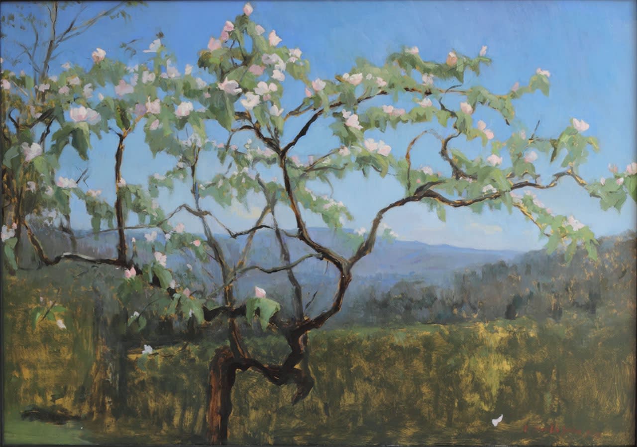 Melissa Franklin Sanchez, Ode to my Quince Tree