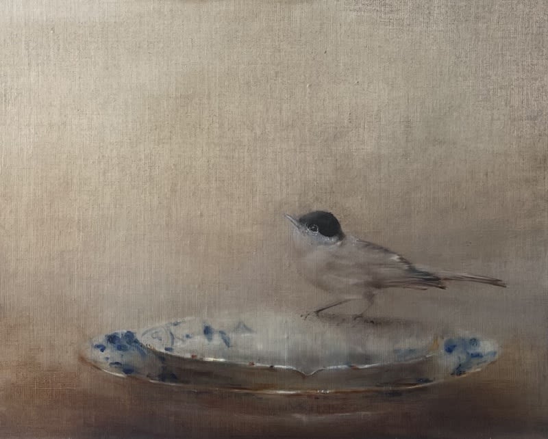 Linda Felcey, Hearken