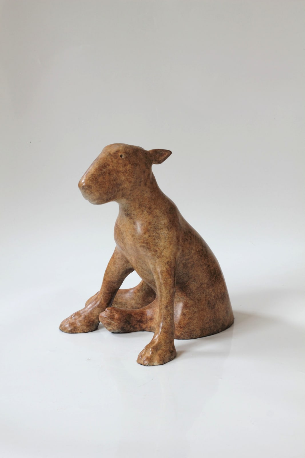 Anthony Scott, Ailbhe