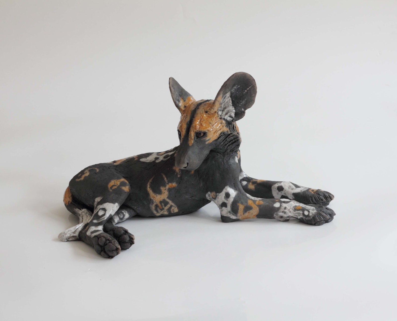 Nick Mackman, Wild Dog Pup Looking Back