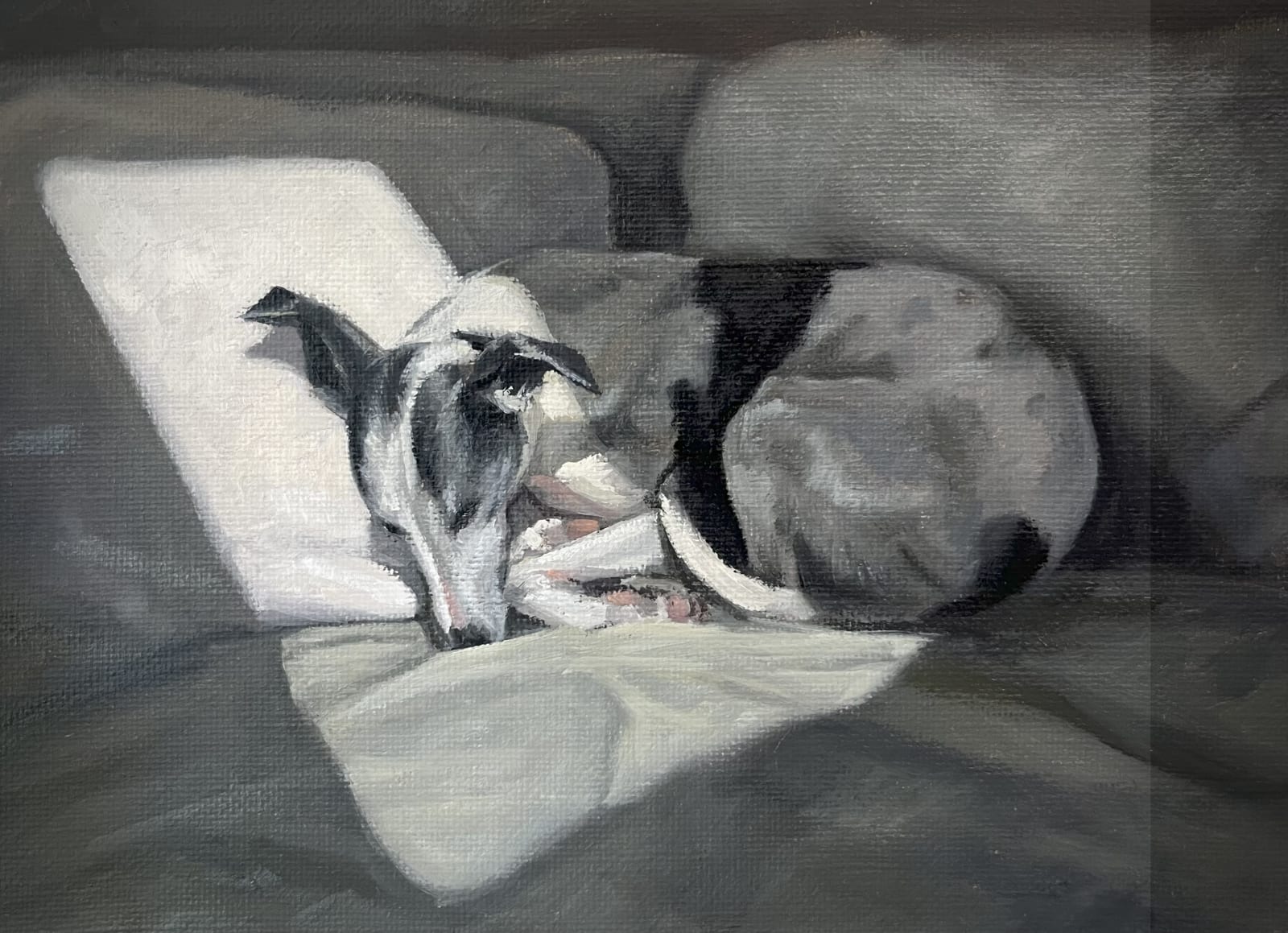James Needham, Skylight II