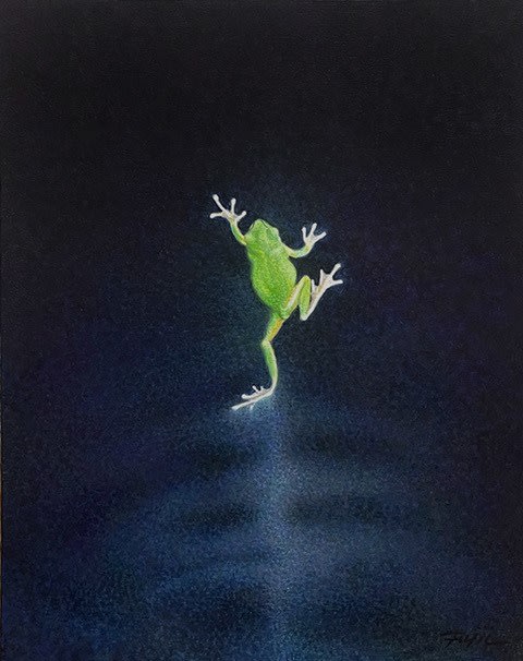 Atsuko Fujii, Frog