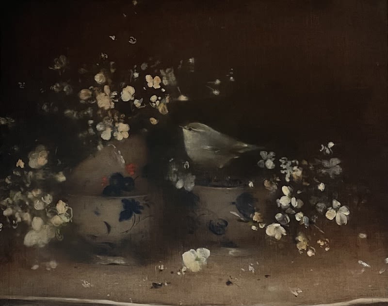 Linda Felcey, Fortuna