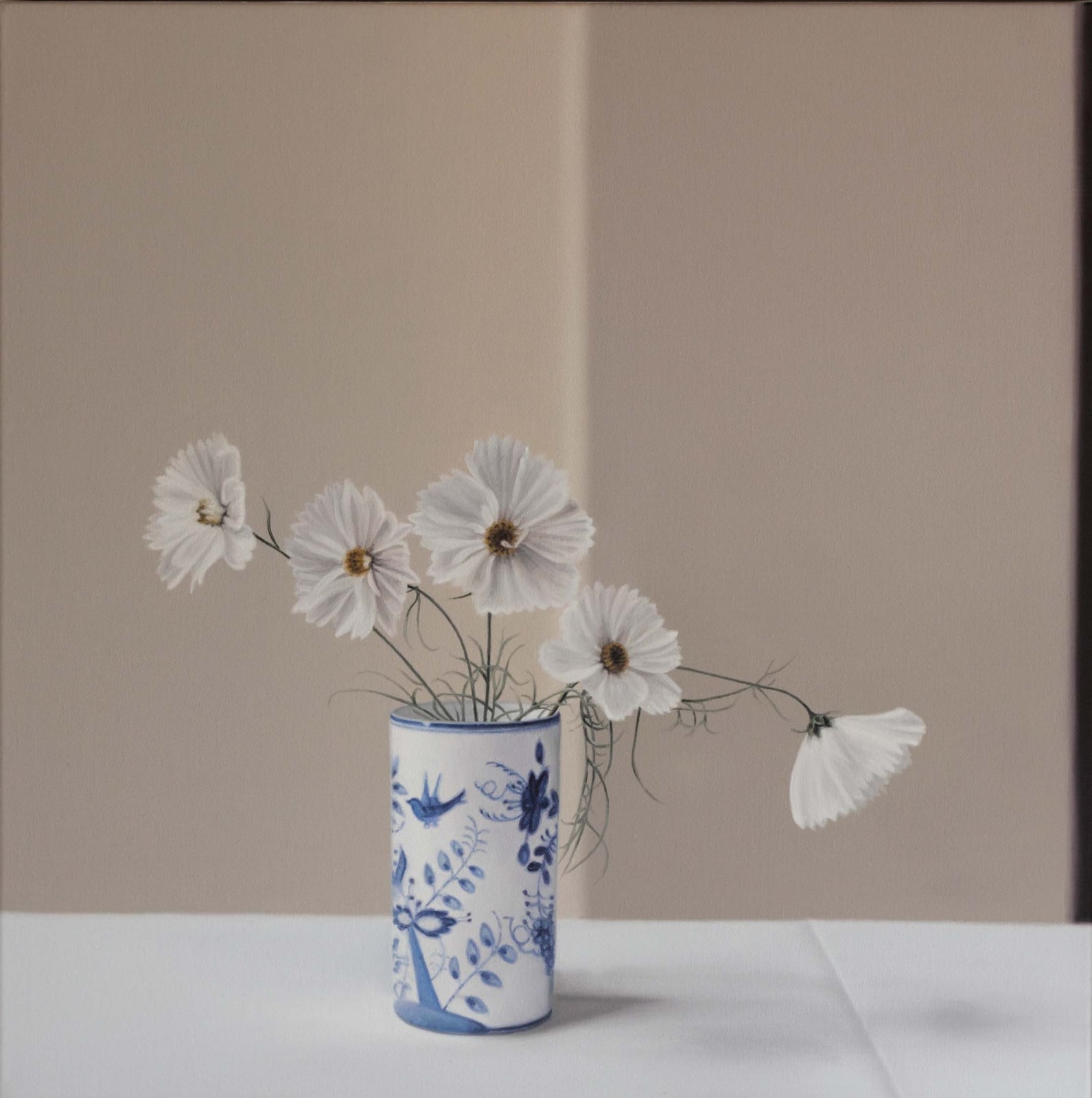 Jo Barrett, White Cosmos