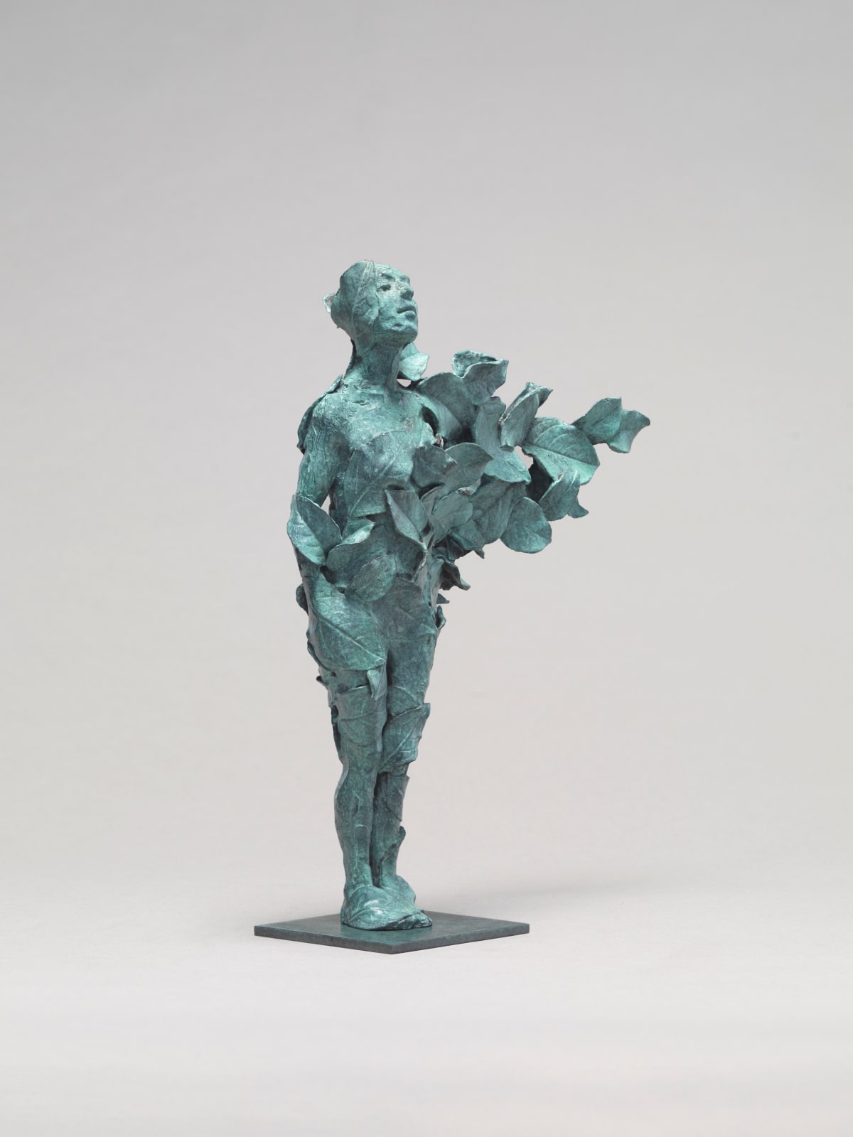 Anna Gillespie, Zephyr