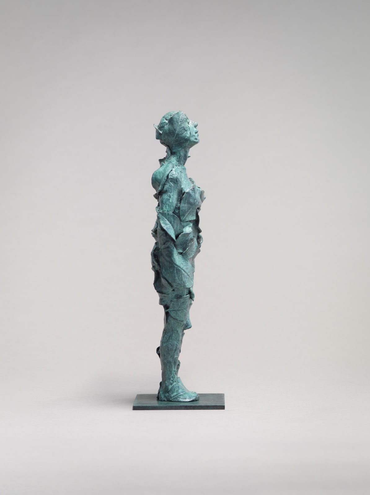 Anna Gillespie, Zephyr