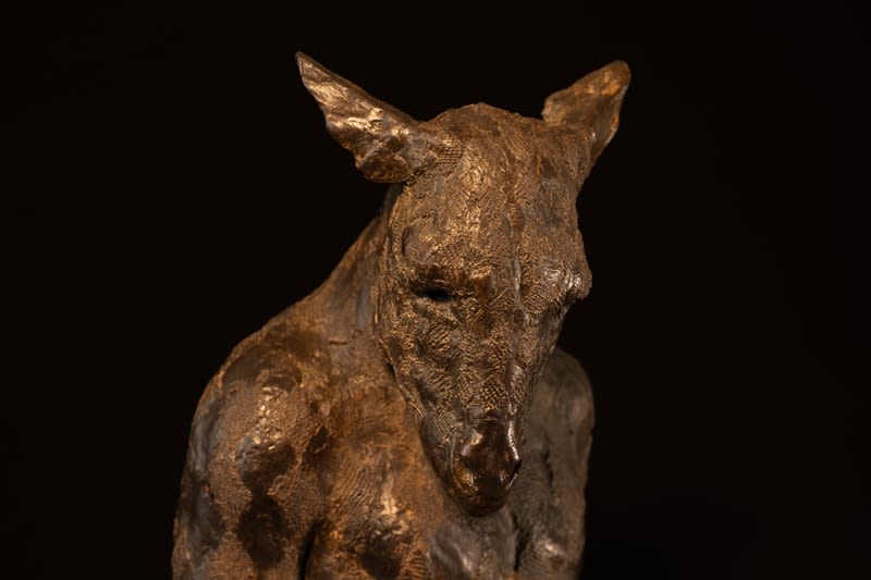 Beth Carter, Harlequin