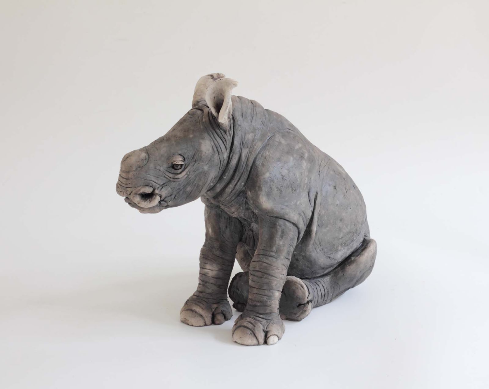 Nick Mackman, Rhino Baby