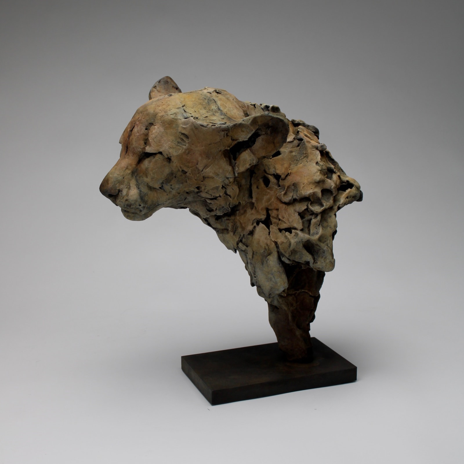 Nichola Theakston, Felid II