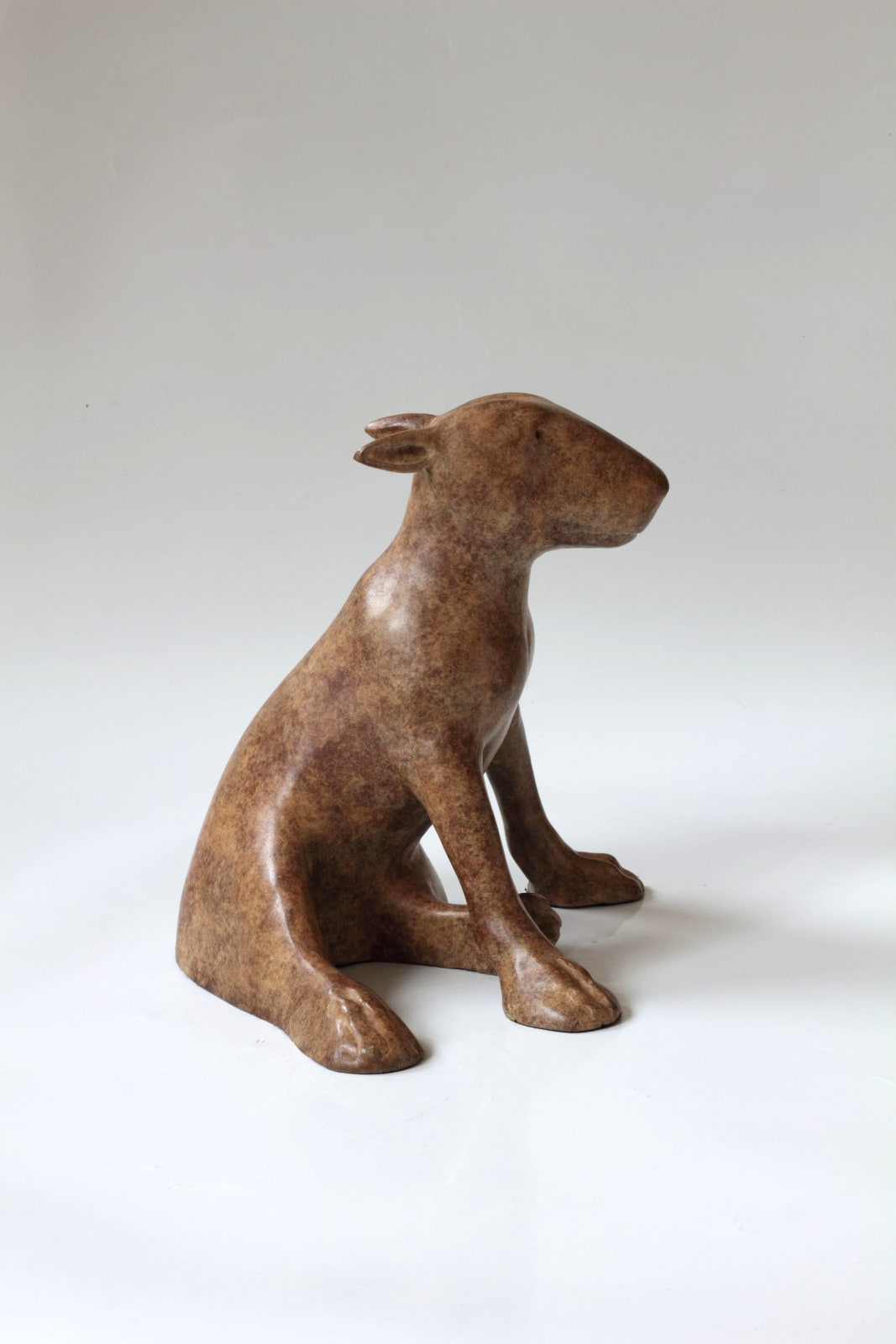 Anthony Scott, Ailbhe