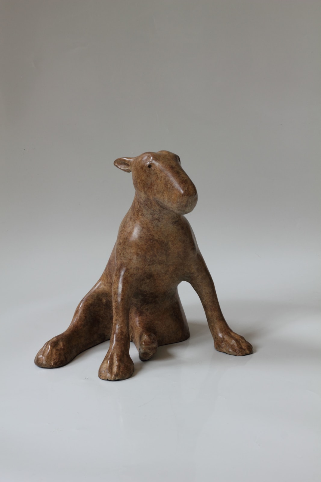 Anthony Scott, Ailbhe