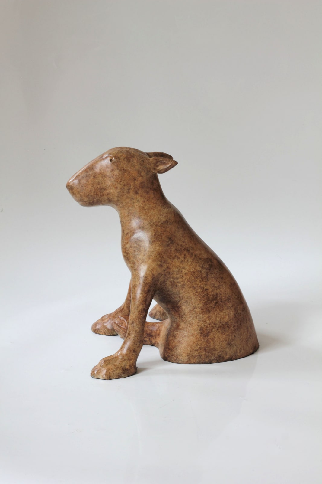 Anthony Scott, Ailbhe