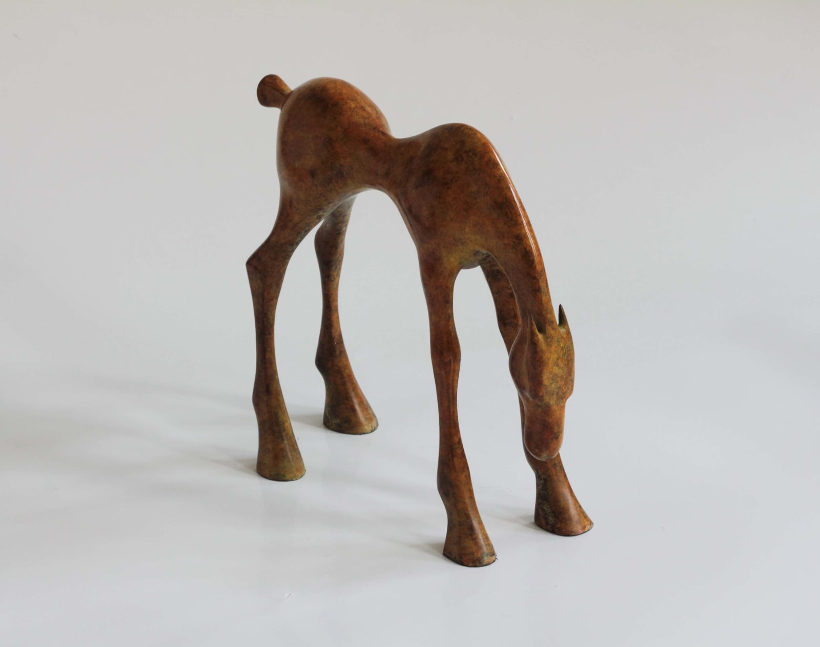 Anthony Scott, Little Foal