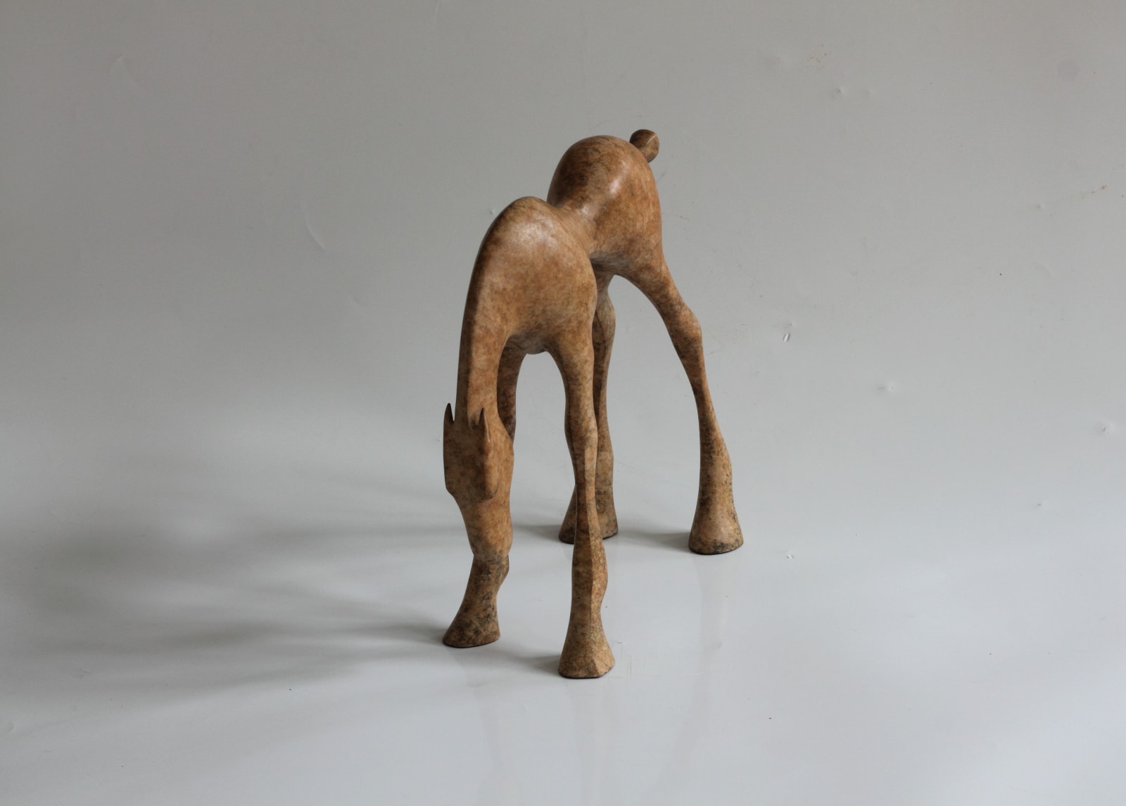 Anthony Scott, Small Etain Foal