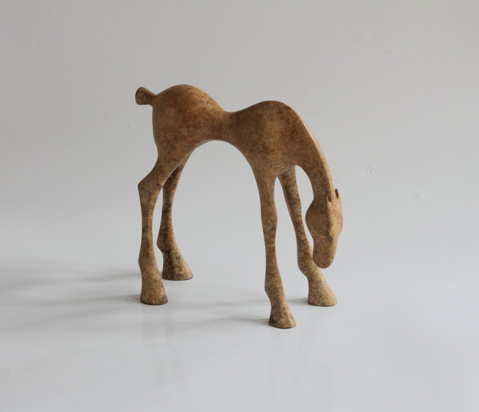 Anthony Scott, Small Etain Foal