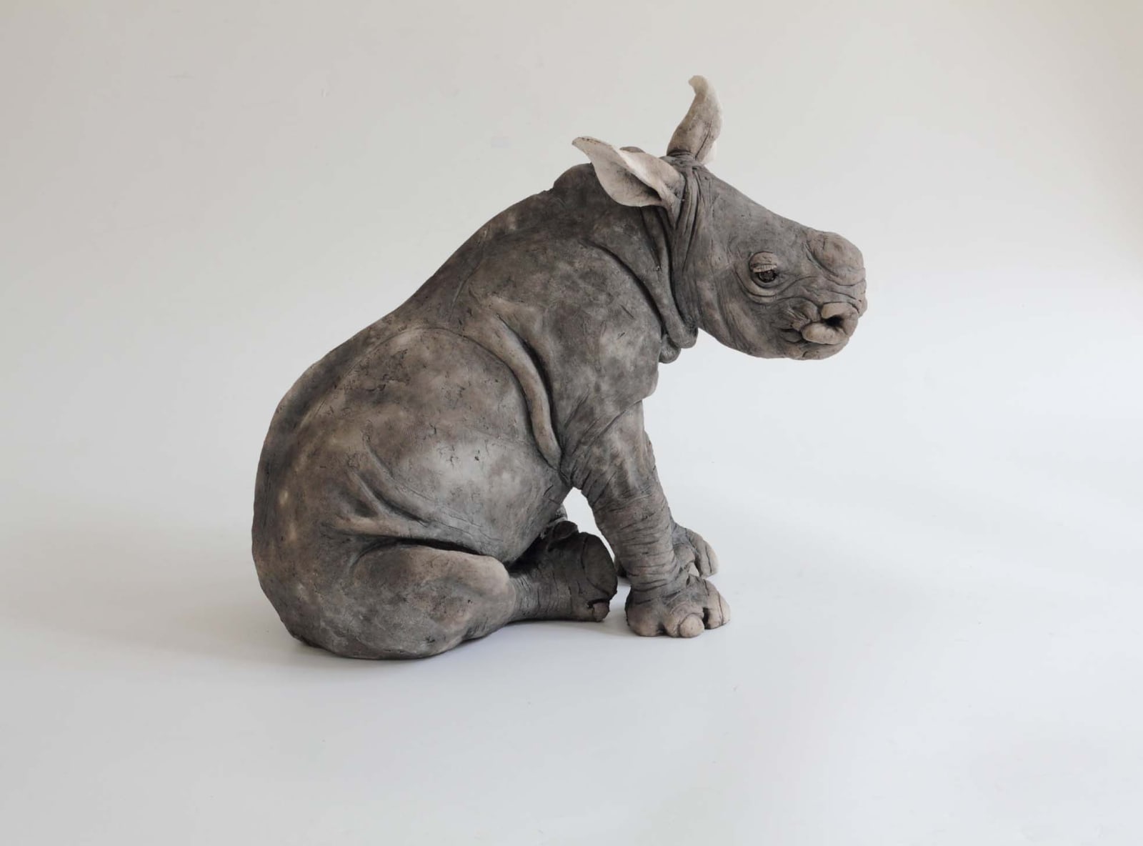 Nick Mackman, Rhino Baby