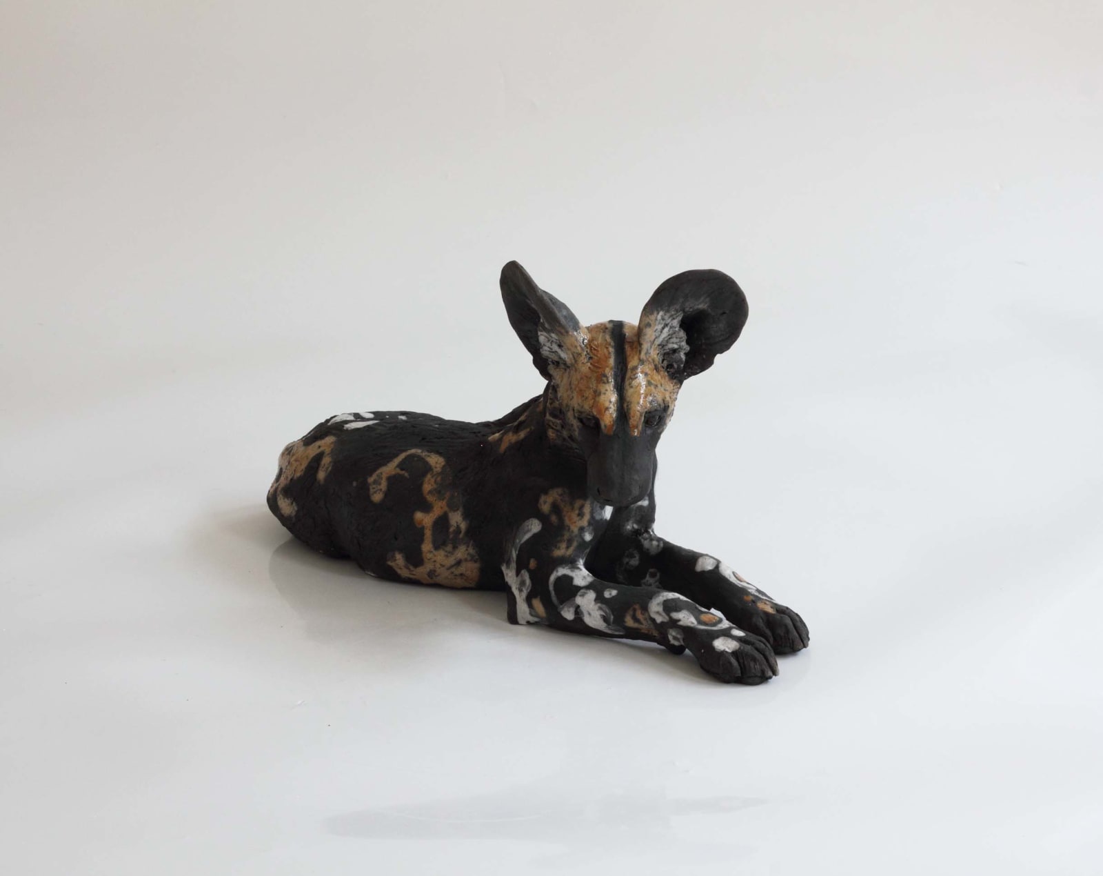 Nick Mackman, Wild Dog Pup Looking Ahead