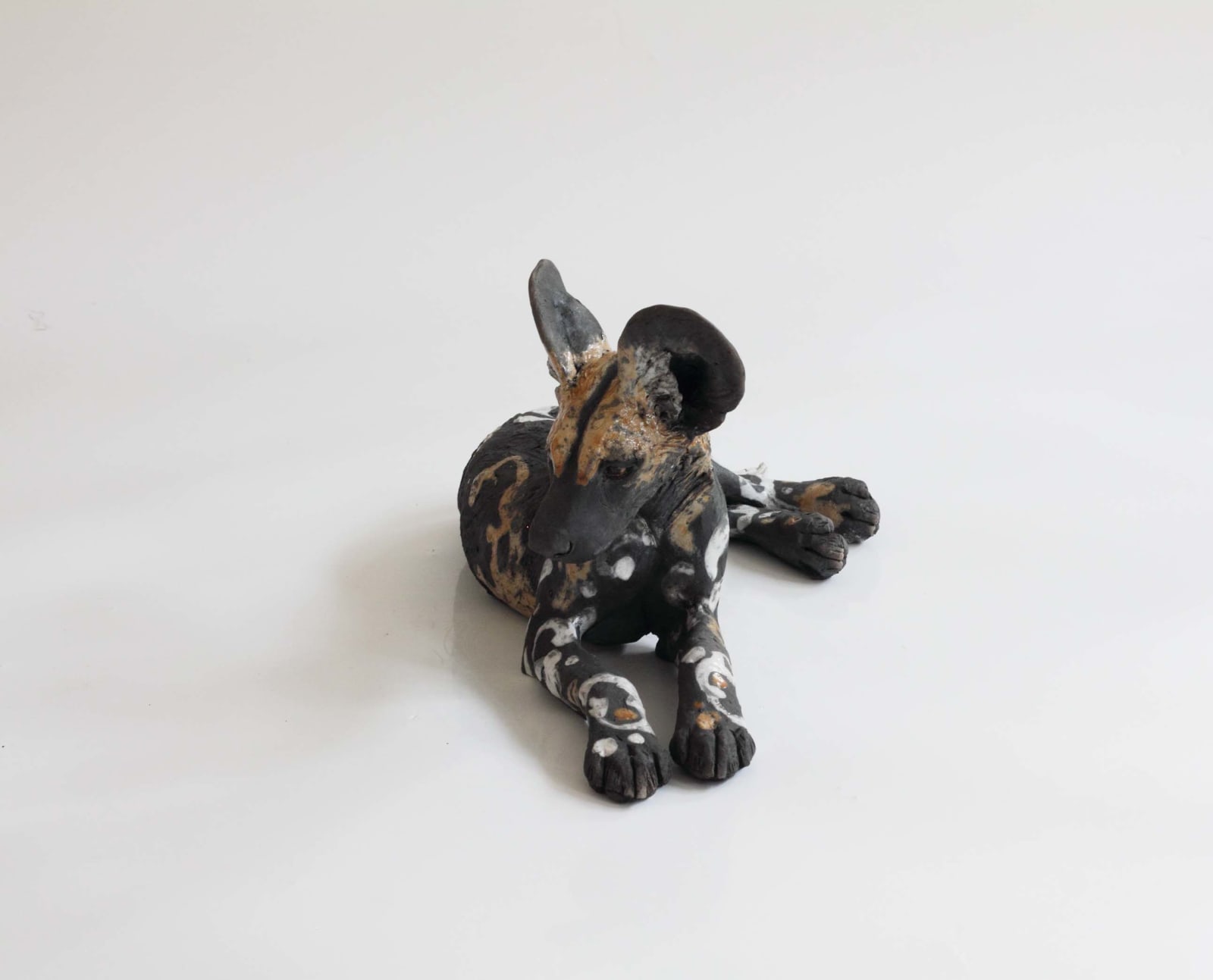 Nick Mackman, Wild Dog Pup Looking Ahead