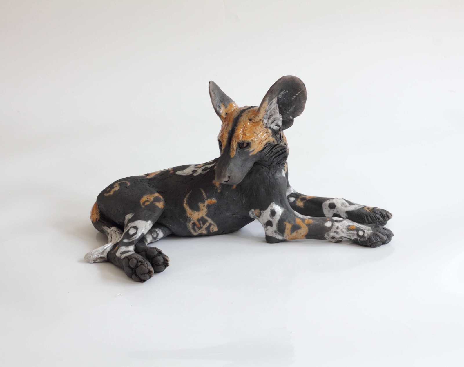 Nick Mackman, Wild Dog Pup Looking Back