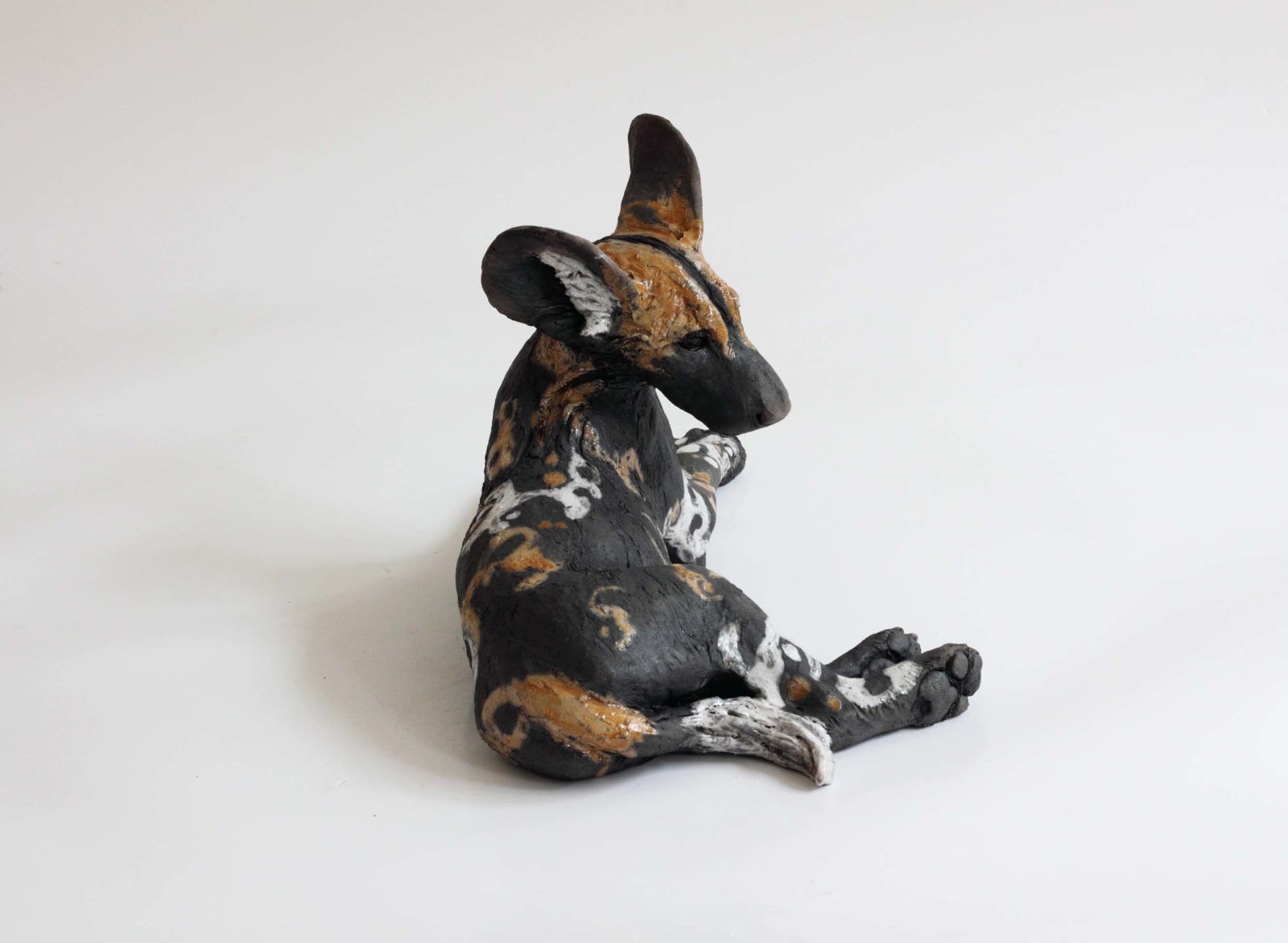 Nick Mackman, Wild Dog Pup Looking Back