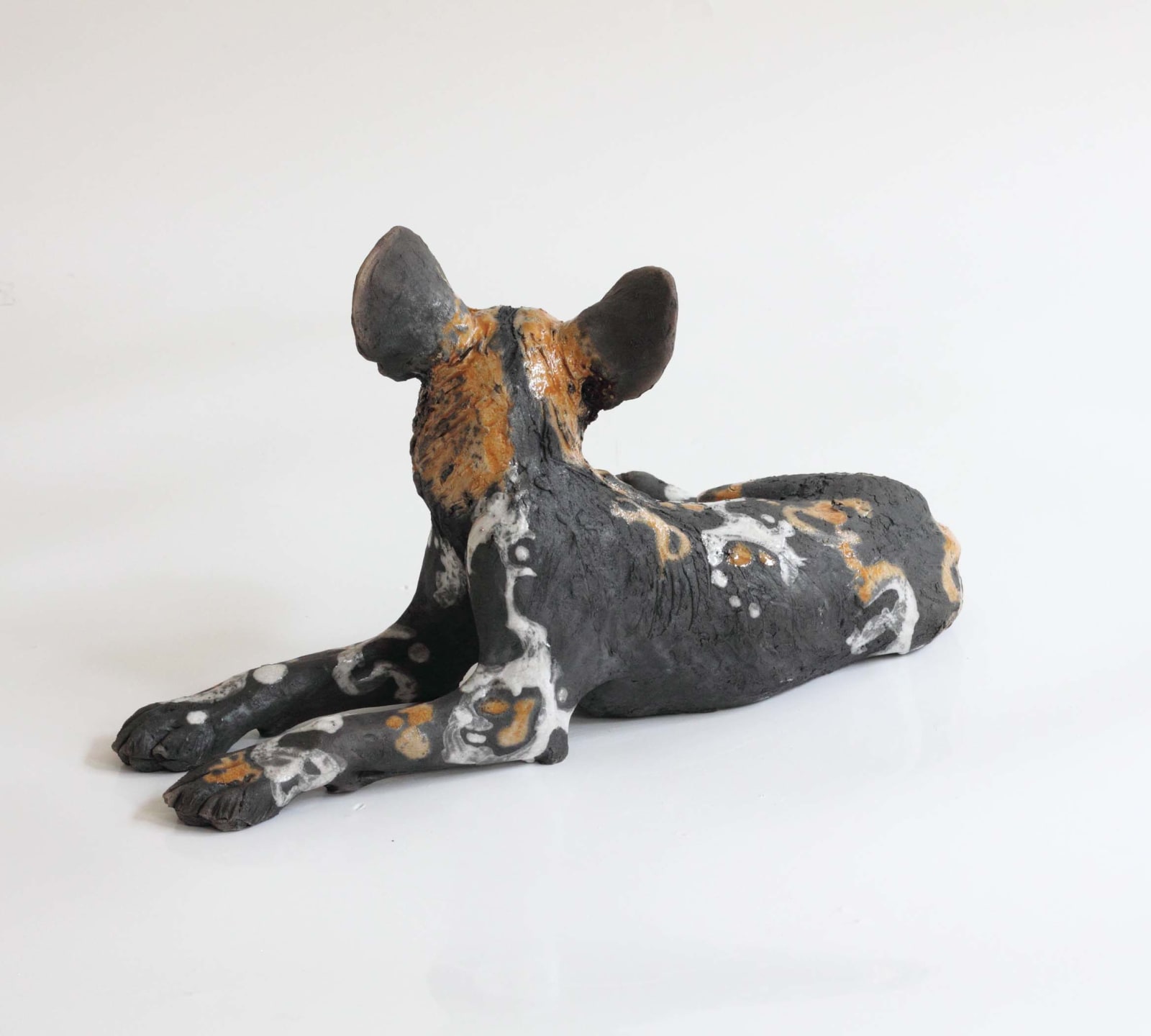 Nick Mackman, Wild Dog Pup Looking Back