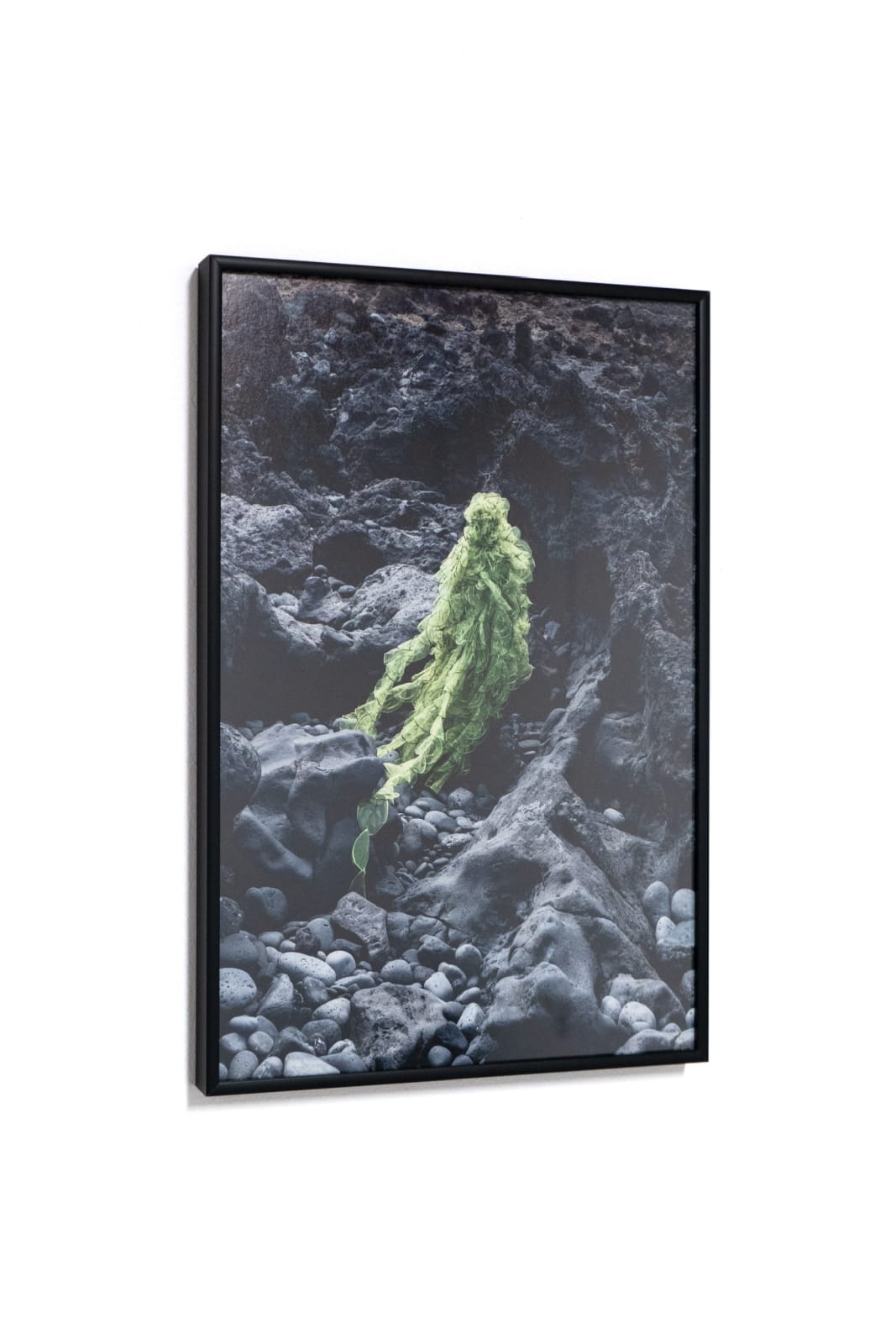 Esther van der Heijden and Nosh Neneh, Living Monuments of The Deep - Hydnophora Bonsai, 2023