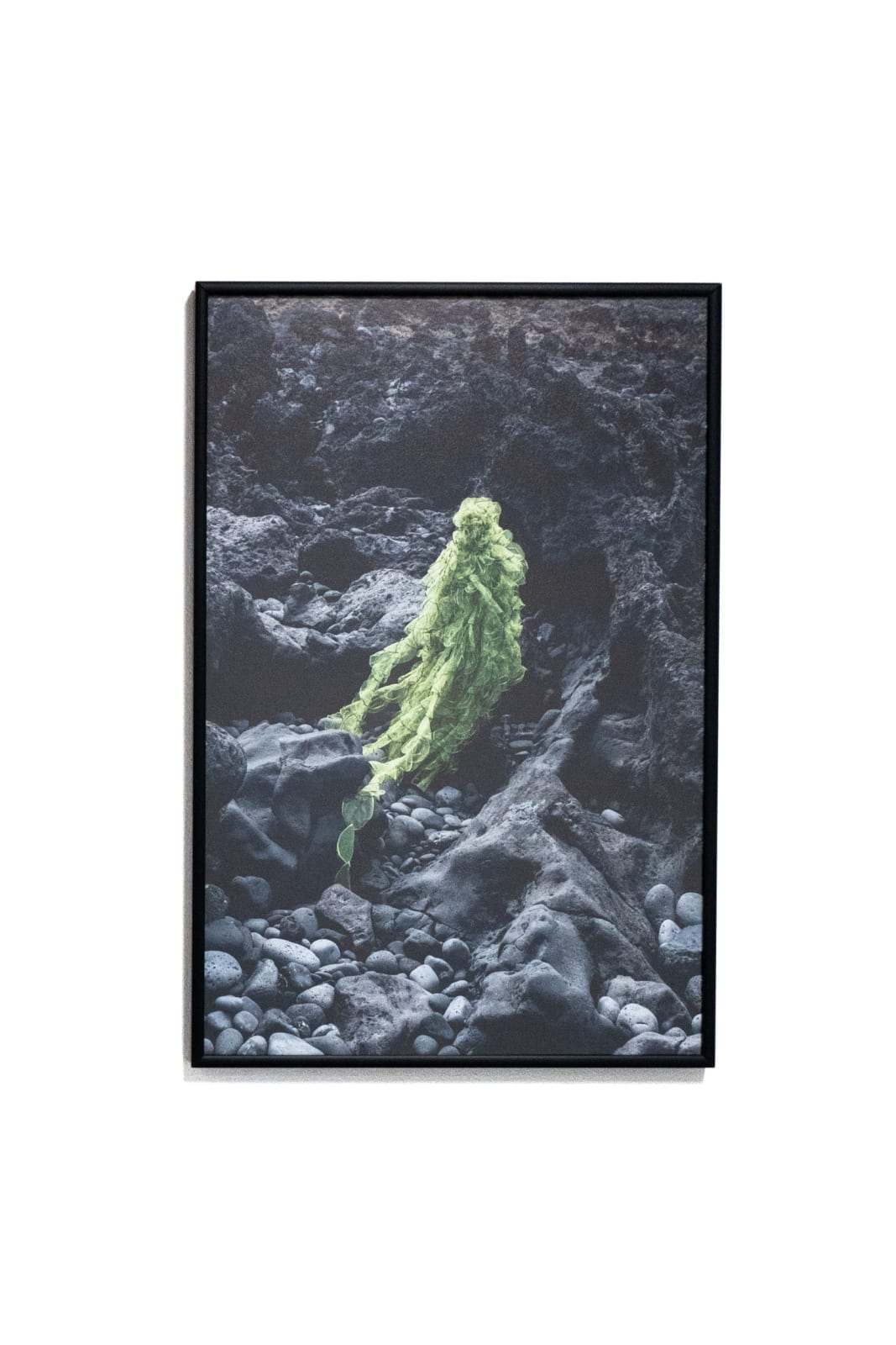 Esther van der Heijden and Nosh Neneh, Living Monuments of The Deep - Hydnophora Bonsai, 2023