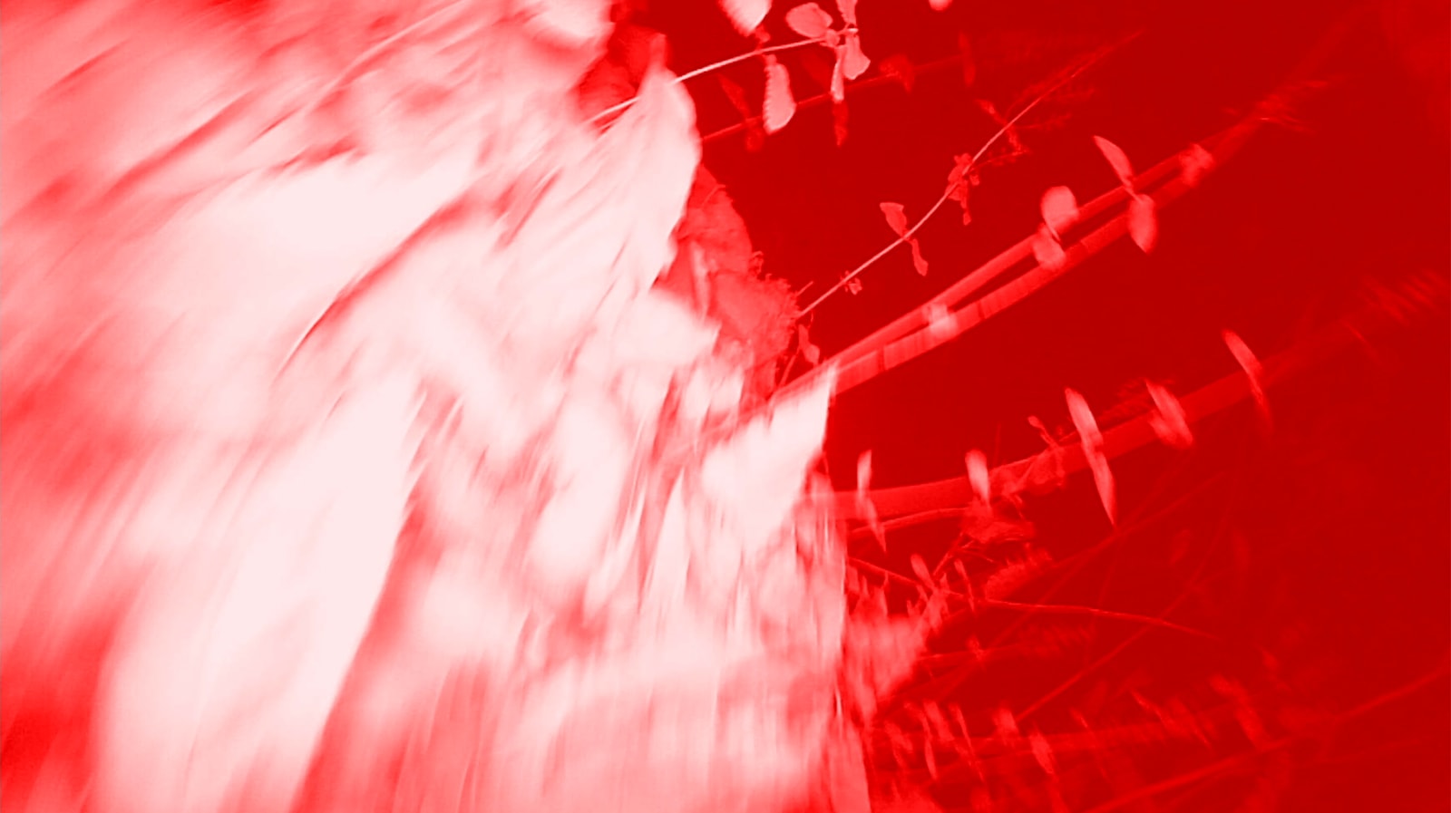 Elsa Brès, Notes for Les Sanglieres, 2021