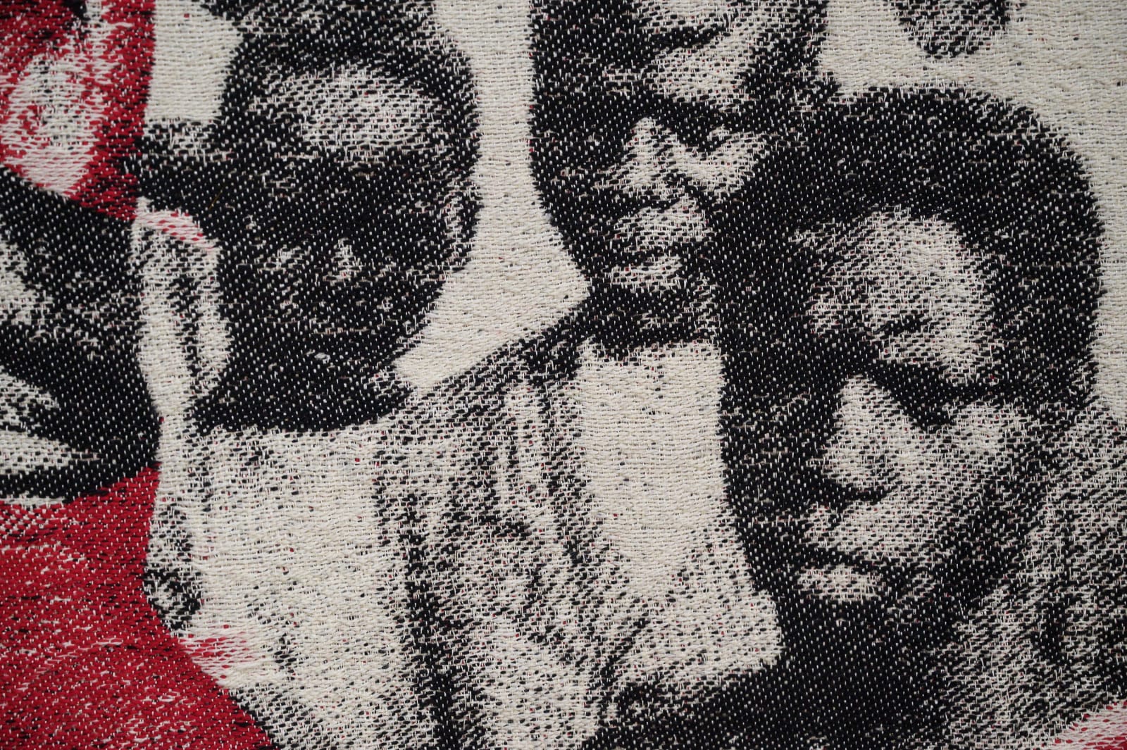 I Contain Multitudes (detail)
