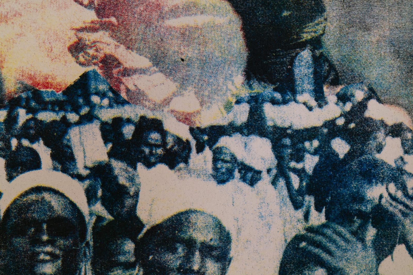 I contain multitudes (detail)