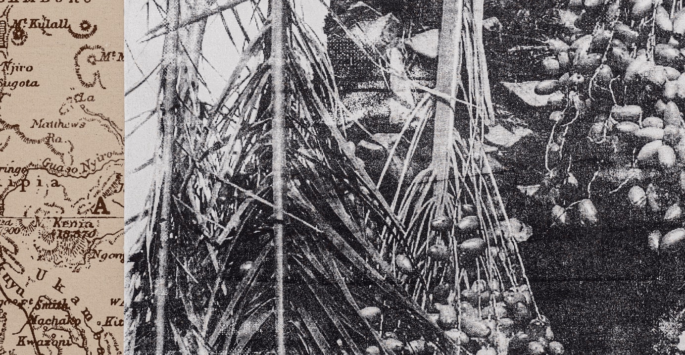 Place, Belonging I (detail)