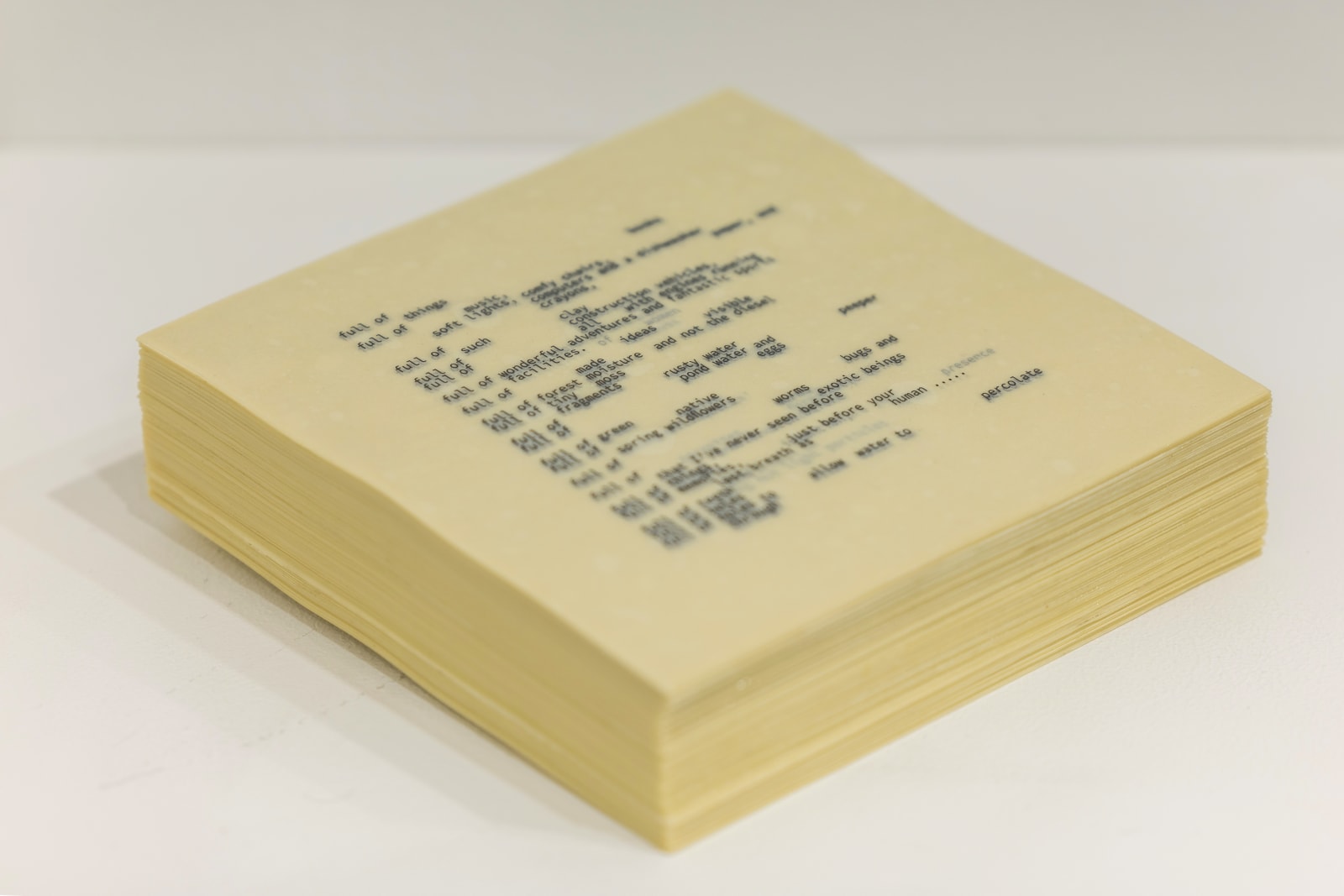 Dale Lawrence, Full of Holes, 2024