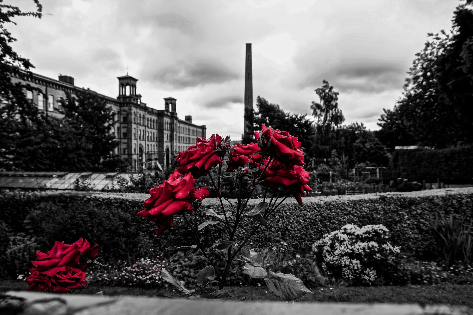 Trotwood, In The Bleak Midsummer, 2016