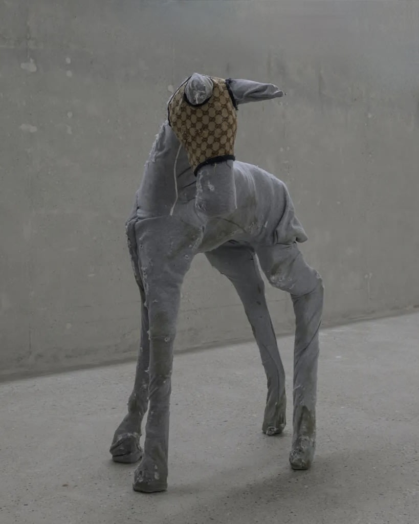 Hannah Rose Stewart, Jersey Foal, 2024