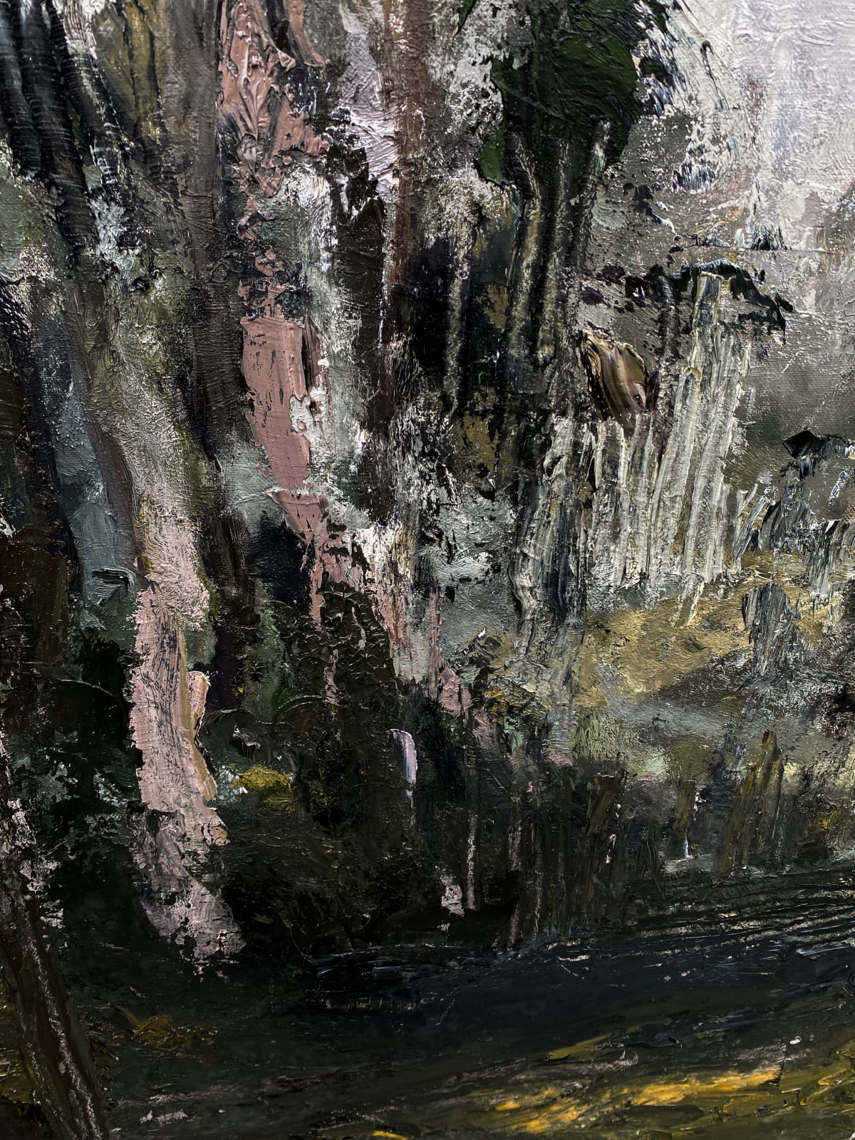 Johannes Seluga, Im Wald, 2024