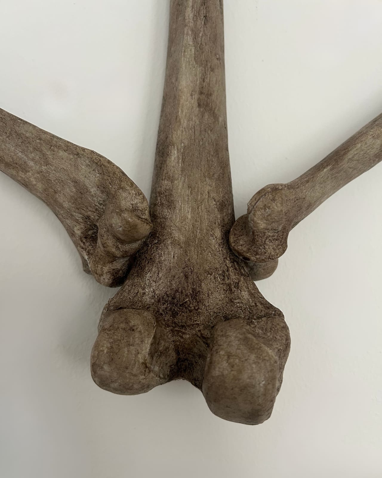 Neckar Doll, Loser, 2025