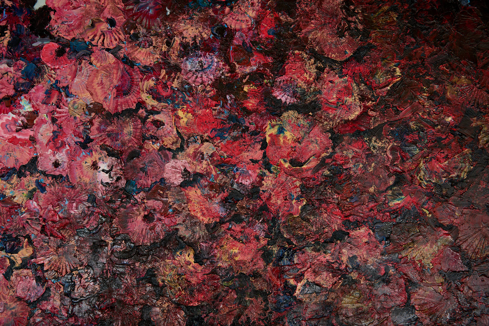 Ivan Seal, Foyeratropo Napreseptetirawe, 2018