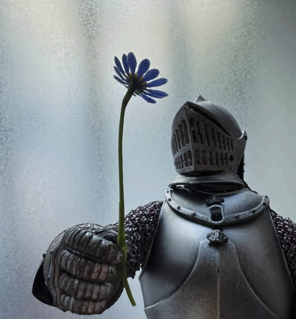 Anne de Vries, Little Herald, 2025