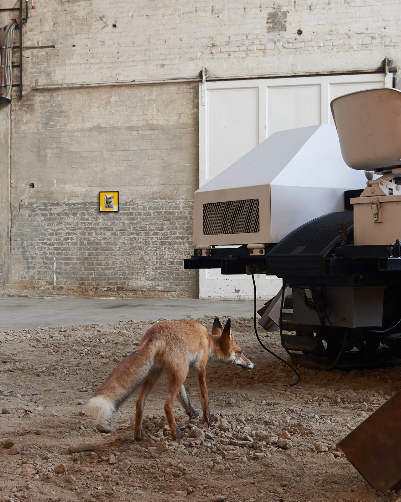 Nik Nowak, Panzer, 2011