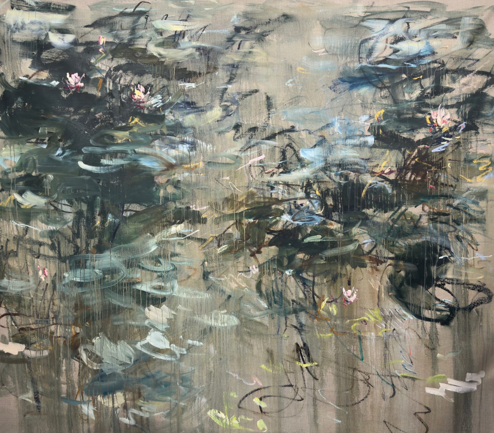 Water lilies. Summer dream.